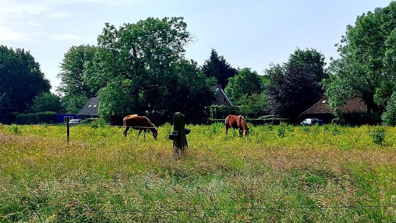 Апартаменты Logeerboerderijtje De Rietkap Gieten Экстерьер фото